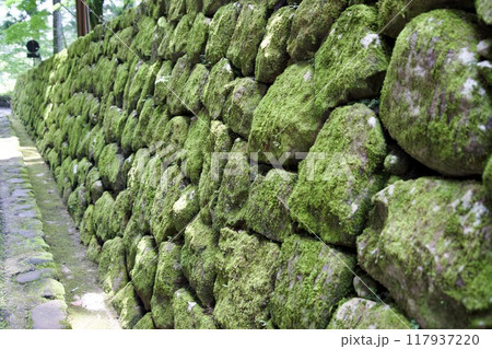 苔の付いた石垣の風景 苔の付いた石垣の風景 117937220