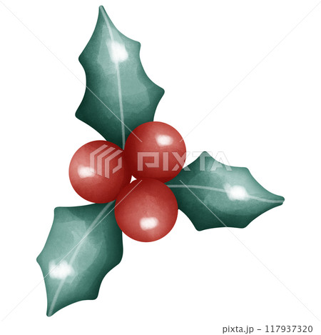 watercolor branch with red cherry watercolor branch with red cherry 117937320