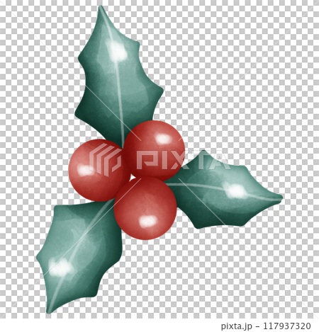 watercolor branch with red cherry watercolor branch with red cherry 117937320