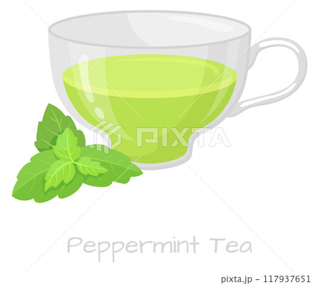 Peppermint tea. Aroma herbal green leaf drink 117937651