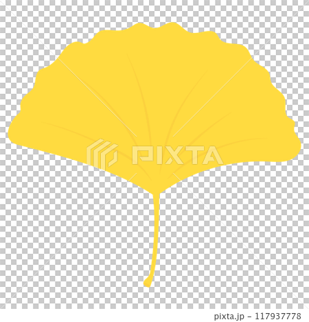 Ginkgo leaf illustration Ginkgo leaf illustration 117937778