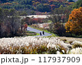 秋の紅葉とススキの美しい風景の中をバイクでツーリング 117937909