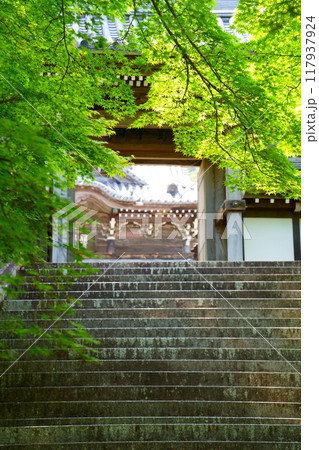 青もみじに包まれた興国寺の山門(和歌山県由良町) 青もみじに包まれた興国寺の山門(和歌山県由良町) 117937924