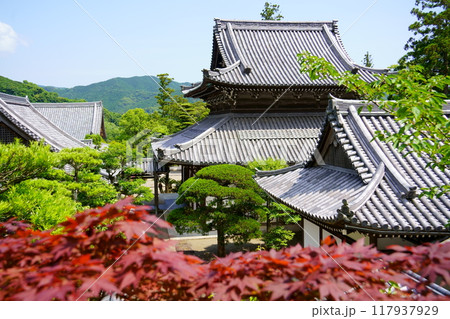 興国寺の伽藍（和歌山県由良町） 117937929
