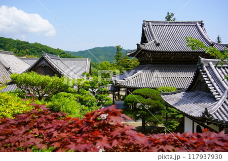 興国寺の伽藍(和歌山県由良町) 興国寺の伽藍(和歌山県由良町) 117937930