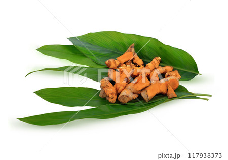 fresh turmeric root on leaves .herb high vitamin C and protect virus. fresh turmeric root on leaves .herb high vitamin C and protect virus. 117938373
