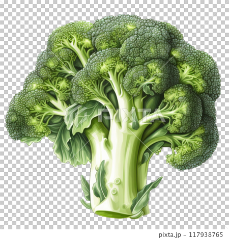 Broccoli 117938765