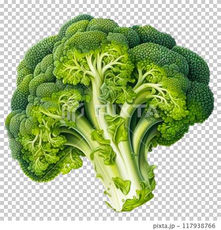 Broccoli 117938766