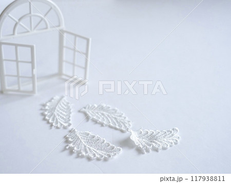 白背景に白い窓枠と白のリーフで厳かな雰囲気 117938811