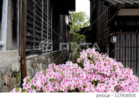 宿場町の古い木造家屋と咲き乱れるツツジの花 宿場町の古い木造家屋と咲き乱れるツツジの花 117938858