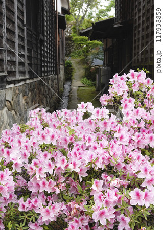 宿場町の古い木造家屋と咲き乱れるツツジの花 117938859