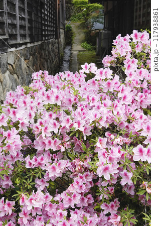 宿場町の古い木造家屋と咲き乱れるツツジの花 117938861