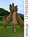 秋の風物詩「ヨズクハデ」伝承 117939229