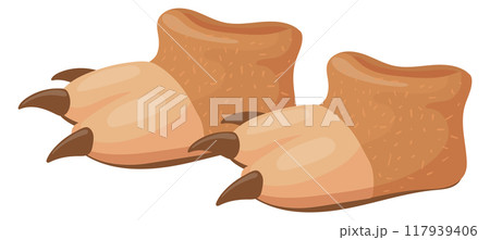 Bear foot slippers. Funny home soft shoes 117939406