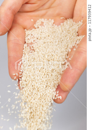 Hands pouring white sesame seeds on gray background Hands pouring white sesame seeds on gray background 117939412