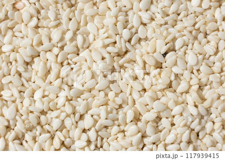 White sesame background, macro top view. White sesame background, macro top view. 117939415