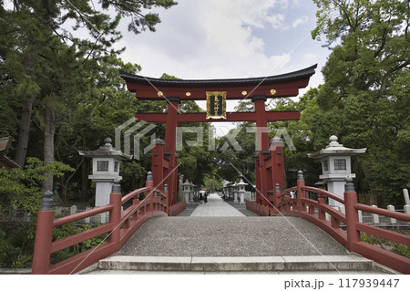 気比神宮 重文大鳥居と参道1 気比神宮 重文大鳥居と参道1 117939447