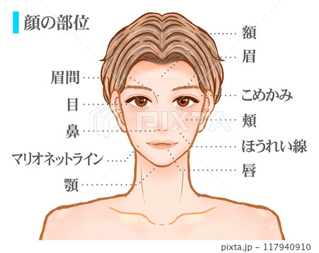イケメン大人男性の顔の部位の図解イラスト素材 117940910