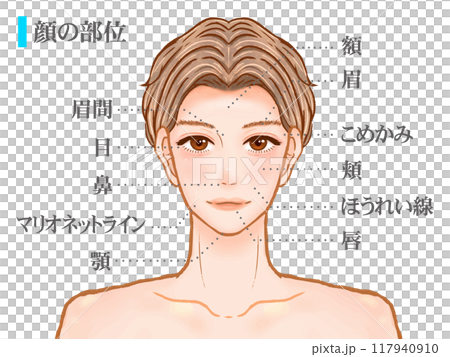英俊成年男子臉部部位插畫素材 117940910