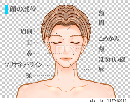 英俊成年男子臉部部位圖解2 117940911