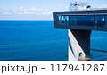 An observation deck overlooking the Baltic Sea. A tourist site for observation. Descent to the sea from the platform by elevator. 117941287