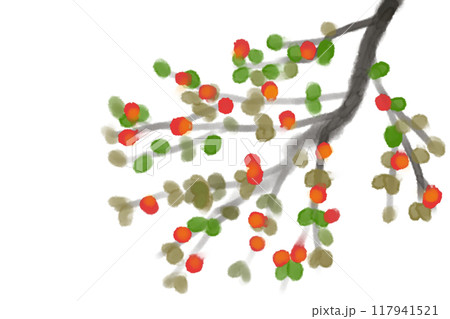 紅紫檀（ベニシタン）のカード2 117941521
