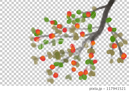 紅紫檀（ベニシタン）のカード2 117941521