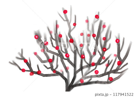 紅紫檀（ベニシタン）のカード3 117941522