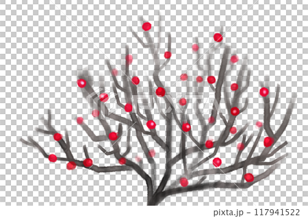 紅紫檀（ベニシタン）のカード3 117941522