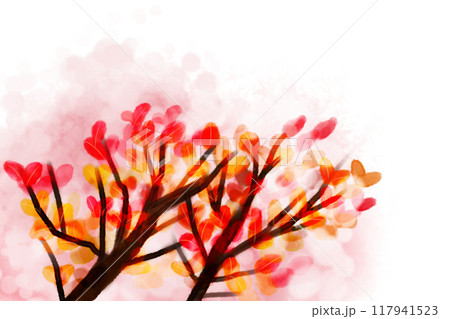 紅紫檀（ベニシタン）のカード4 117941523