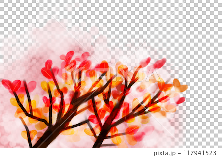 紅紫檀（ベニシタン）のカード4 117941523