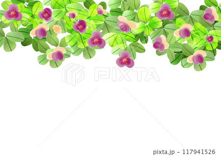 木通（アケビ）の花のカード2 117941526