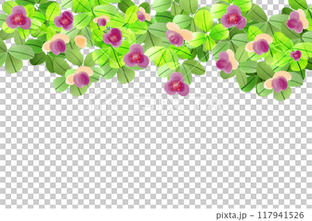 木通（アケビ）の花のカード2 117941526