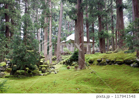 福井県 平泉寺白山神社境内 福井県 平泉寺白山神社境内 117941548