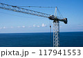 Lifting construction crane on the background of the sea. Construction of facilities by the sea. Industrial crane for cargo transportation 117941553