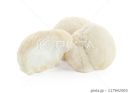 Lion's Mane Mushrooms on white background 117942003