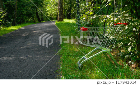 store business sale timber buy wood market shop cart trolley shopping supermarket purchase 117942014