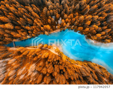 Aerial view of blue lake, orange forest in golden autumn Aerial view of blue lake, orange forest in golden autumn 117942057