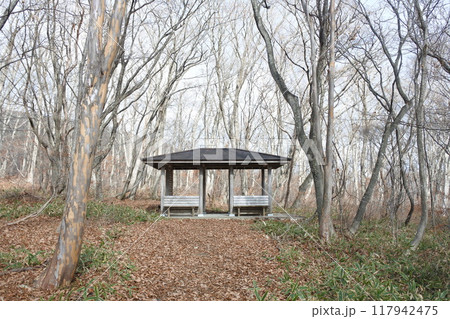 東屋、四阿 東屋、四阿 117942475