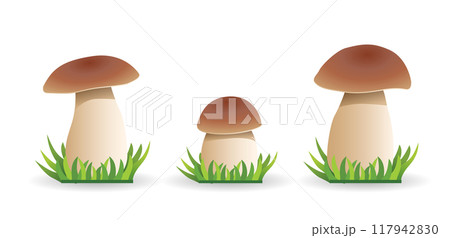 Seamless vector pattern with cute cartoon forest mushrooms. Edible mushroom boletus on white background. 117942830