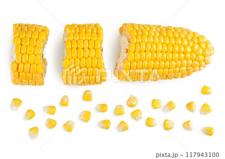 ear of corn isolated on a white background with full depth of field. Top view. Flat lay 117943100