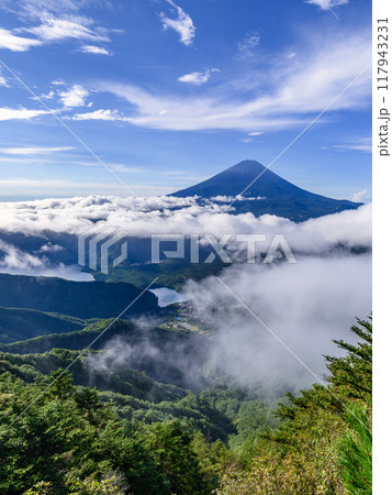 夏の晴れた空と富士山と雲海（山梨県・王岳） 117943231