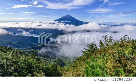 夏の晴れた空と富士山と雲海（山梨県・王岳） 117943237