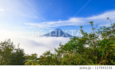 夏の晴れた空と富士山と雲海（山梨県・王岳） 117943238