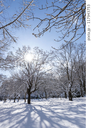 雪の積もった公園 117943753