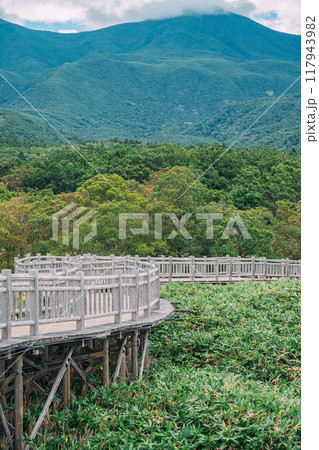 知床国立公園の遊歩道 知床国立公園の遊歩道 117943982
