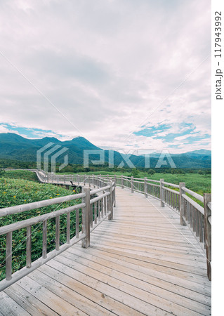 知床国立公園の遊歩道 117943992