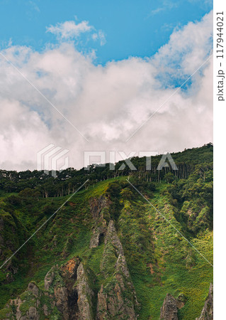 雲湧く夏の山歩き 117944021