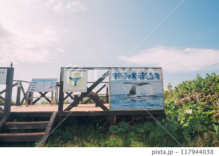 クジラの見える丘公園 117944038