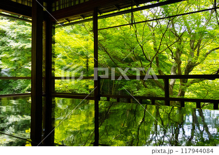 瑠璃光院　書院から見る青紅葉 117944084